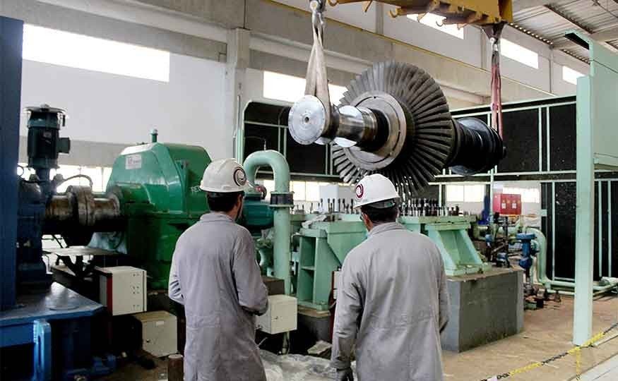 What are the types of Maintenance and Specialized Technical Assistance in Steam Turbine?